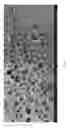 Fig. 02 - Extracellular matrix material