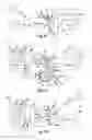 Fig. 03 - Fluid preparation and treatment devices methods and systems