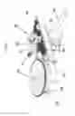 Fig. 07 - FORM CHANGING TOY
