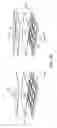 Fig. 20 - Directing Motion of Droplets Using Differential Wetting