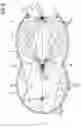 Fig. 06 - Compound elliptical reflector for curing optical fibers