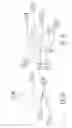 Fig. 08 - Dual jaw adjustable wrenches