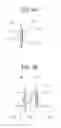 Fig. 04 - Head module, head device, and liquid discharge apparatus