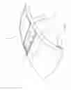 Fig. 02 - Wind deflector for open roof construction