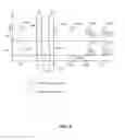 Fig. 07 - Passive entry/passive start systems and methods for vehicles
