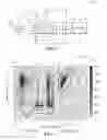 Fig. 03 - Hybrid vehicle and powertrain