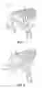 Fig. 02 - Adjustable seat cushion