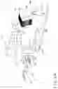 Fig. 04 - Case forming, packing, and sealing apparatus