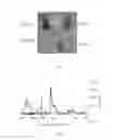 Fig. 06 - Method for exchanging interlayer anions of a layered double hydroxide