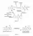 Fig. 02 - SYNERGISTIC ANTICOAGULANT COMPOSITION