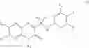 Fig. 07 - Quinolinone pyrimidines compositions as mutant-isocitrate dehydrogenase inhibitors