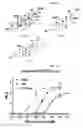 Fig. 03 - Structures and mechanism for the design of highly potent glucocorticoids