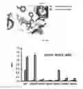 Fig. 07 - Structures and mechanism for the design of highly potent glucocorticoids