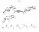 Fig. 09 - Structures and mechanism for the design of highly potent glucocorticoids