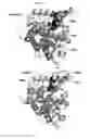 Fig. 11 - Structures and mechanism for the design of highly potent glucocorticoids
