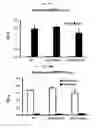 Fig. 14 - Structures and mechanism for the design of highly potent glucocorticoids