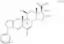 Fig. 23 - Structures and mechanism for the design of highly potent glucocorticoids