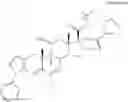 Fig. 29 - Structures and mechanism for the design of highly potent glucocorticoids