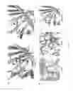 Fig. 02 - Monomeric streptavidin mutants, methods of using the same and processes of manufacturing proteins