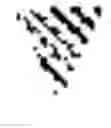Fig. 02 - Immunoglobulins and uses thereof