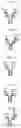 Fig. 04 - CD3 binding antibodies