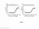 Fig. 09 - Antibody constructs for DLL3 and CD3