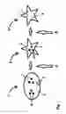 Fig. 02 - CROSSLINKABLE POLYMER COMPOSITION AND CROSSLINKED POLYMER COMPOSITION