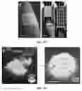Fig. 09 - Silicone compositions for the three-dimensional printing