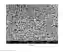 Fig. 02 - Stabilized nanoparticle compositions comprising ions