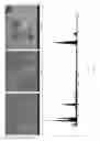 Fig. 02 - Dual-phase acid-based fracturing composition with corrosion inhibitors and method of use thereof