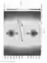 Fig. 19 - Microfluidic sorting with high gradient magnetic fields using opposing arrays of adjacent magnets