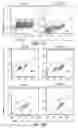 Fig. 08 - STEM CELL-DERIVED SCHWANN CELLS