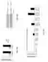 Fig. 33 - Methods, compositions, and kits for producing beige adipocytes and treating metabolic disorders