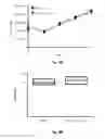 Fig. 08 - Alga modified for increased tag production