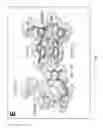 Fig. 45 - CRYSTAL STRUCTURE OF CRISPR CPF1