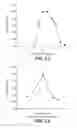 Fig. 12 - NOVEL METALLOPROTEASES