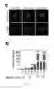 Fig. 03 - Compositions and methods for the treatment or prevention of heart failure
