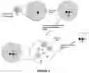 Fig. 03 - TAGLESS ENCODED CHEMICAL LIBRARY