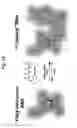 Fig. 02 - Photoreversible acylation reagents