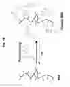 Fig. 03 - Photoreversible acylation reagents