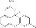 Fig. 80 - Photoreversible acylation reagents