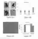 Fig. 06 - MicroRNA-200 based approaches for modulating bone formation inhibition and bone regeneration
