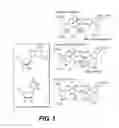 Fig. 02 - Therapeutic compositions