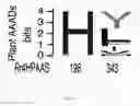 Fig. 35 - Host cell expression of 4-hydroxyphenylacetaldehyde synthase for production of salidroside, icariside D2, and precursors