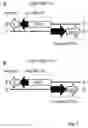 Fig. 02 - Potent and balanced bidirectional promoter