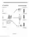 Fig. 07 - CRISPR enabled multiplexed genome engineering