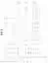 Fig. 03 - Cas9 orthologs