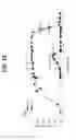 Fig. 16 - Cas9 orthologs