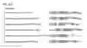 Fig. 65 - Methods and compositions for RNA-directed target DNA modification and for RNA-directed modulation of transcription