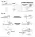 Fig. 97 - Methods and compositions for RNA-directed target DNA modification and for RNA-directed modulation of transcription